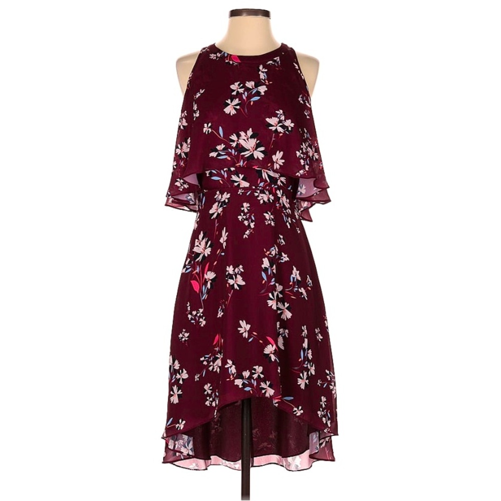 Delvin High Low Hem, Open-Back Dress, Size 4